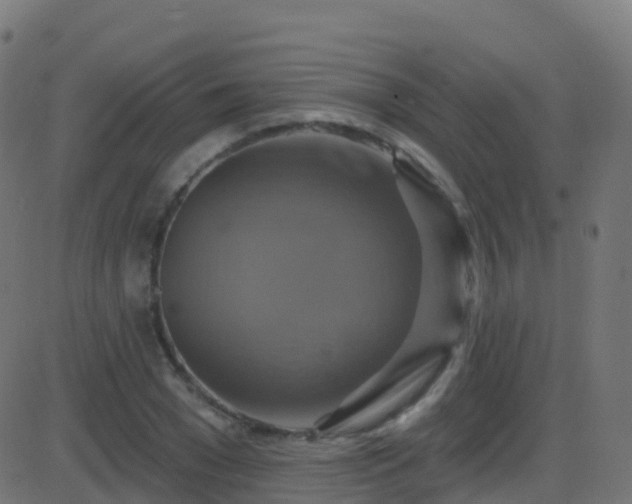 X0000086220977200704051236