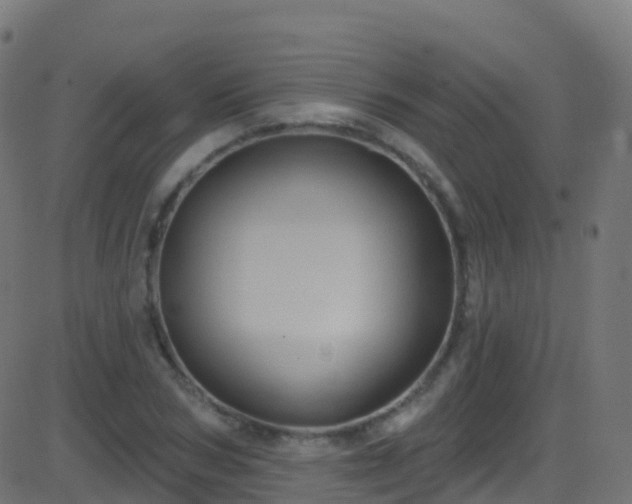 X0000086220978200704051236