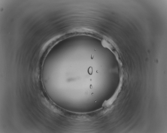 X0000086220979200704051236