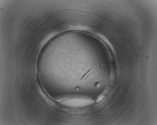 X0000086220980200704051236