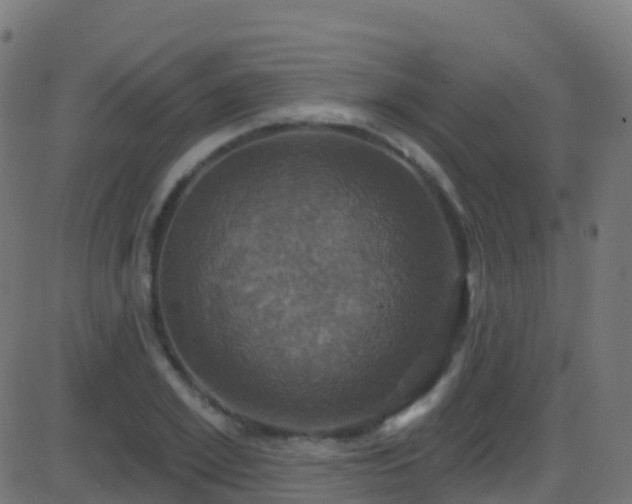 X0000086220981200704051236