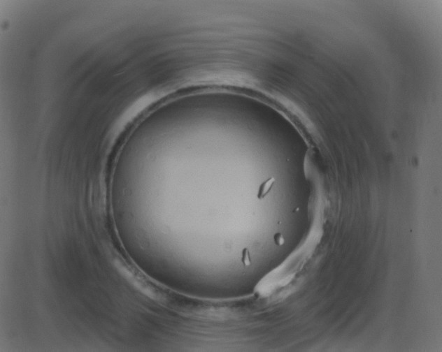 X0000086220982200704051236