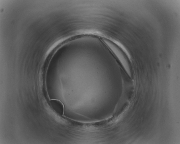 X0000086220983200704051236