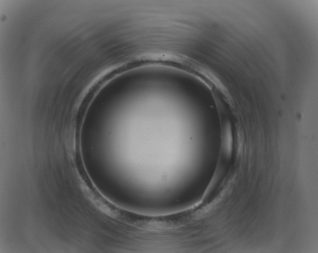 X0000086220984200704051236