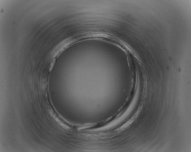 X0000086220985200704051236