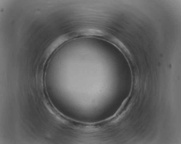 X0000086220986200704051236