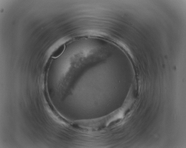 X0000086220987200704051236