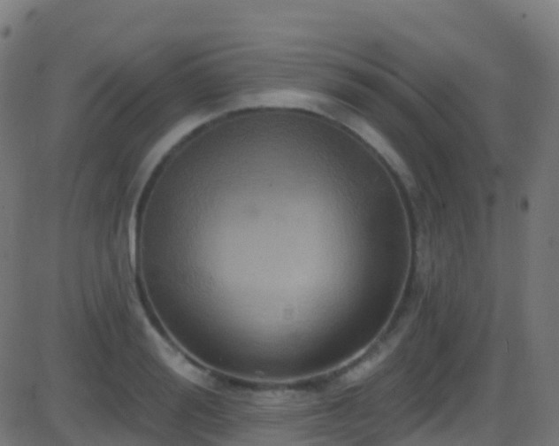 X0000086220988200704051236