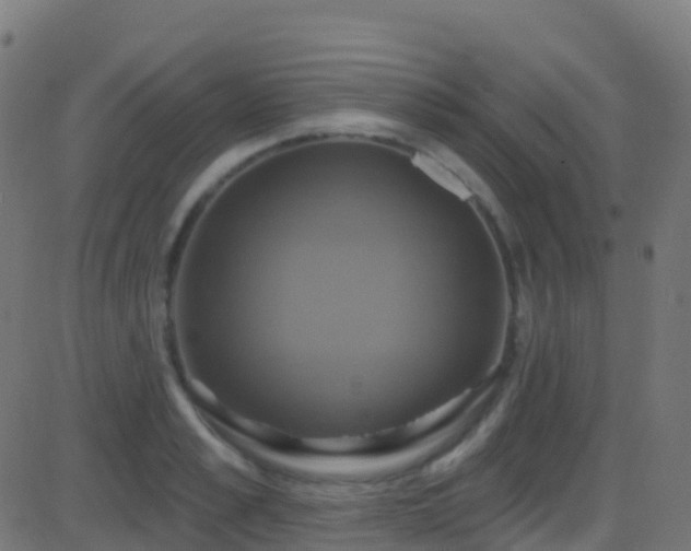 X0000086220989200704051236