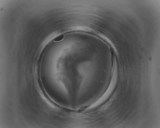 X0000086220991200704051235