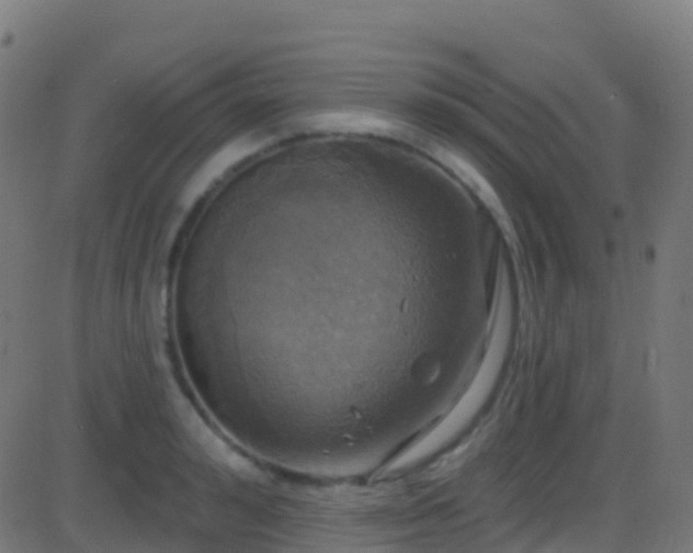 X0000086220992200704051235