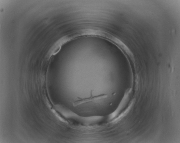 X0000086220993200704051235