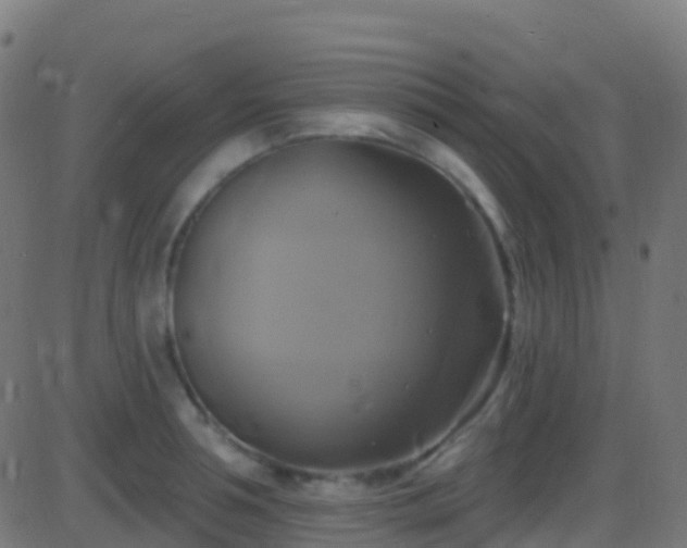 X0000086220994200704051235