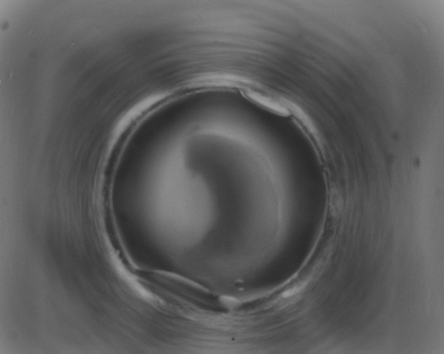 X0000086220995200704051235