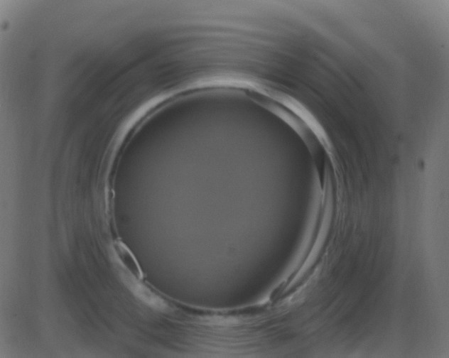 X0000086220996200704051235