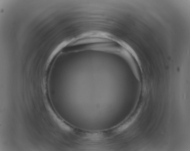 X0000086220997200704051235