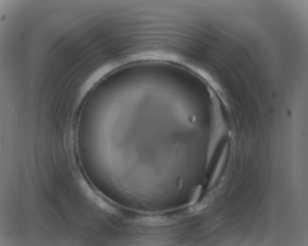 X0000086220998200704051235