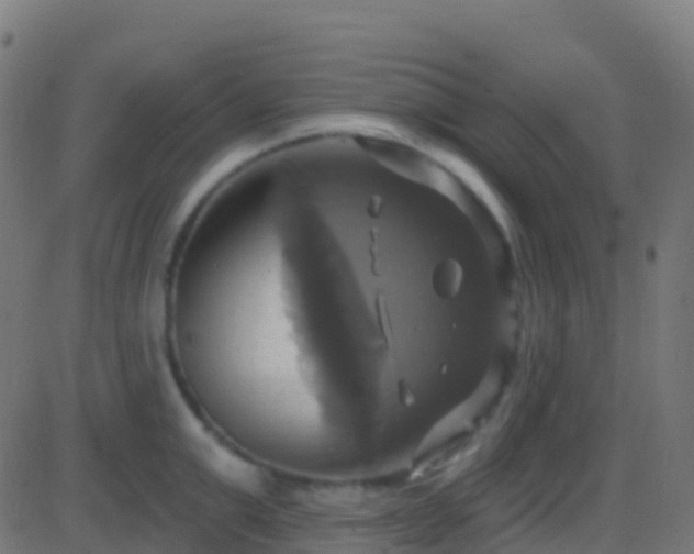 X0000086220999200704051235