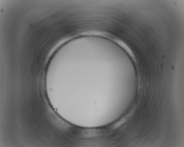 X0000086221000200704051235