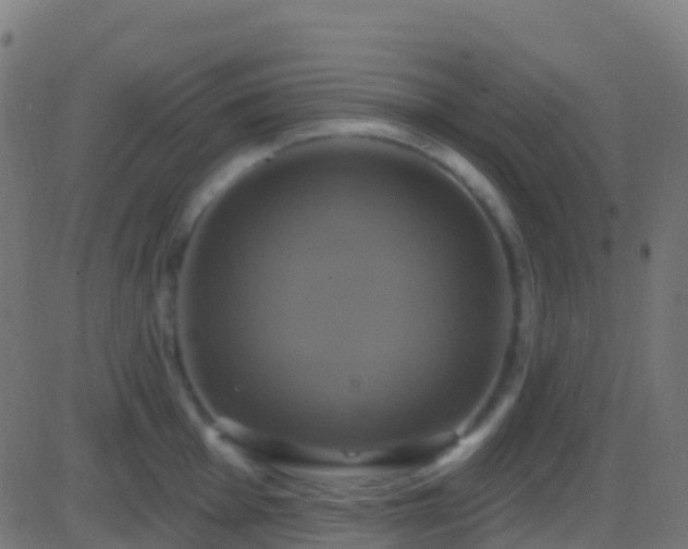 X0000086221001200704051235