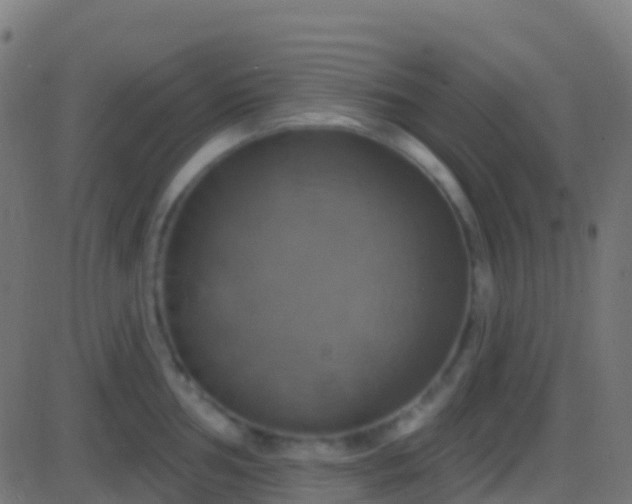 X0000086221002200704051235