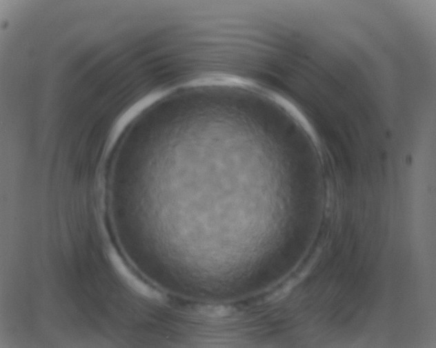 X0000086221003200704051235