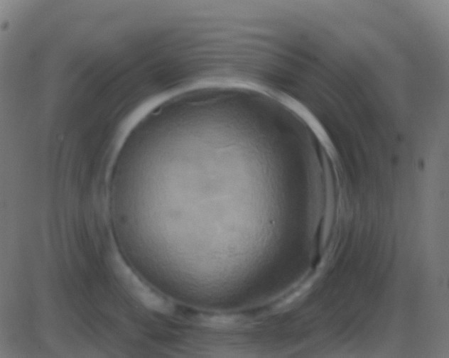 X0000086221004200704051235