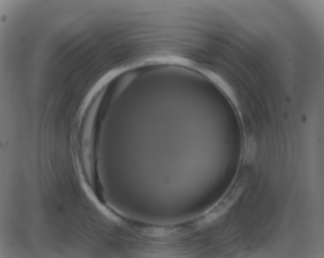 X0000086221005200704051235