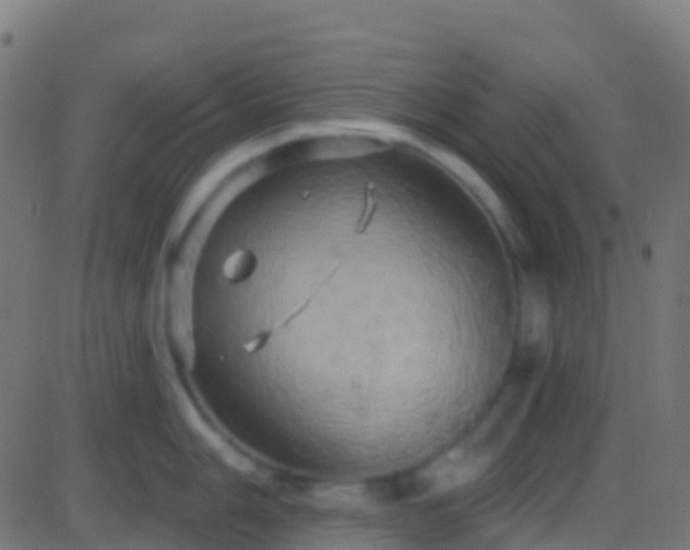 X0000086221006200704051235