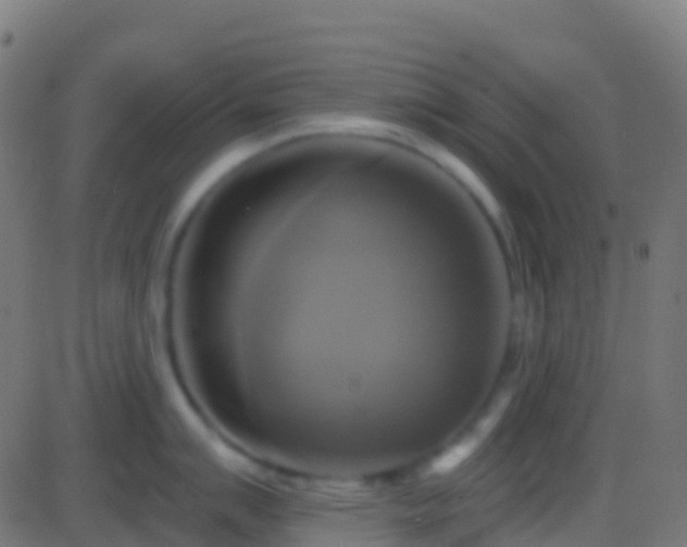 X0000086221007200704051235