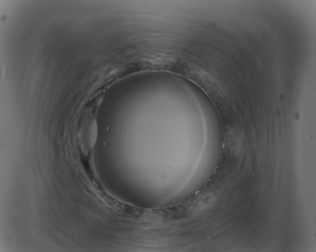 X0000086221009200704051234