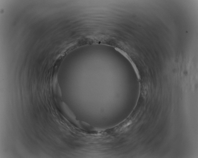 X0000086221010200704051234