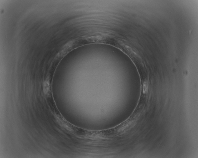 X0000086221011200704051234