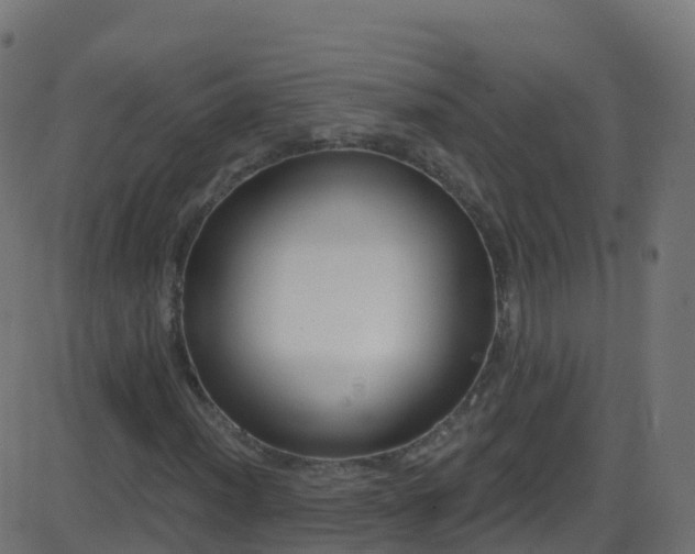 X0000086221012200704051234