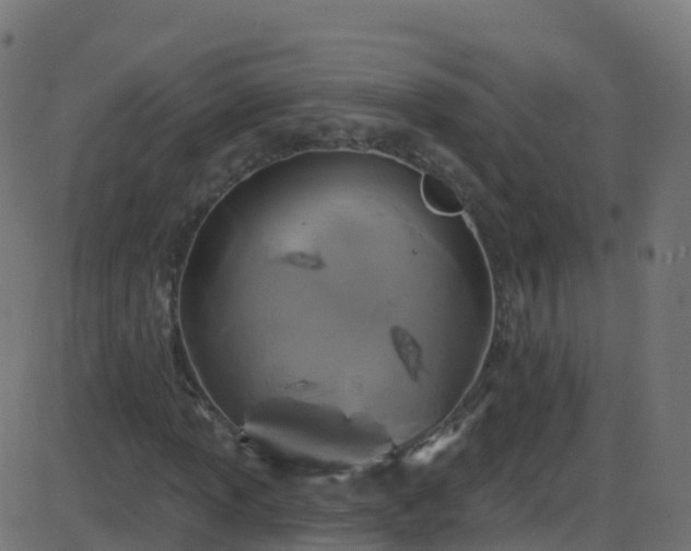 X0000086221013200704051234