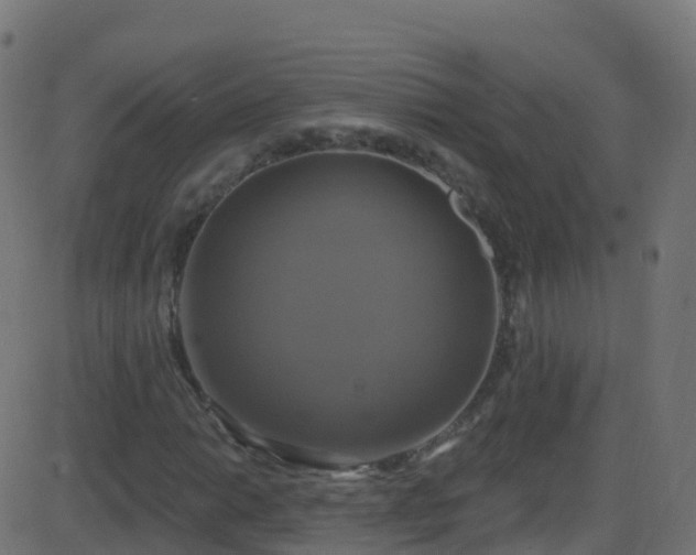 X0000086221014200704051234