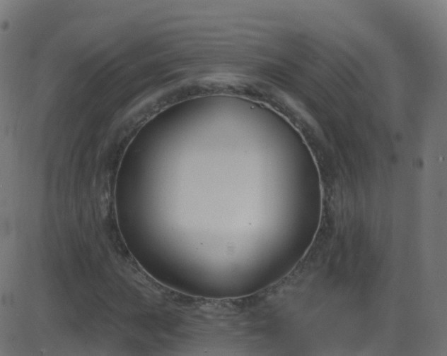 X0000086221015200704051234