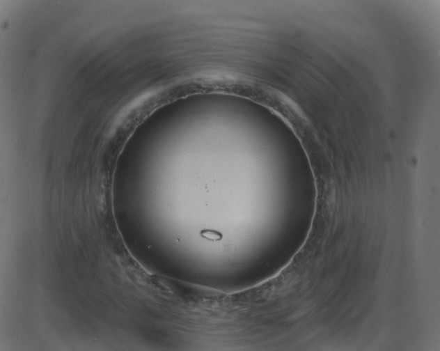 X0000086221016200704051235