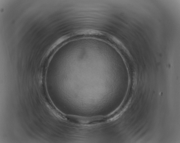 X0000086221017200704051235