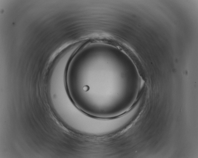 X0000086221018200704051235