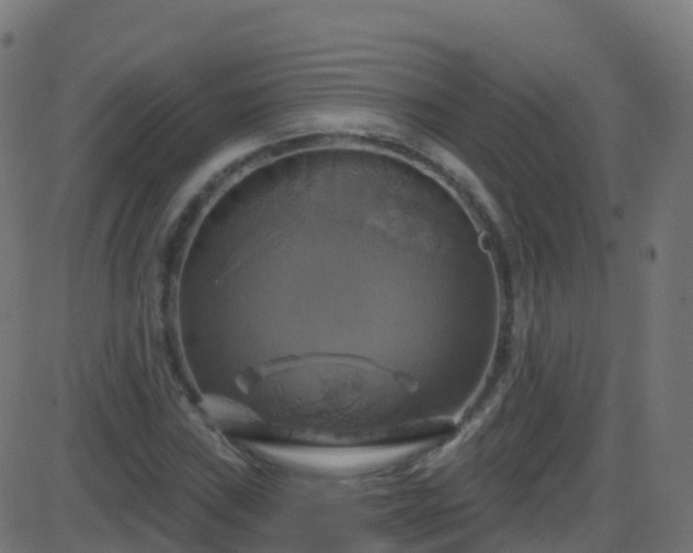 X0000086221019200704051235