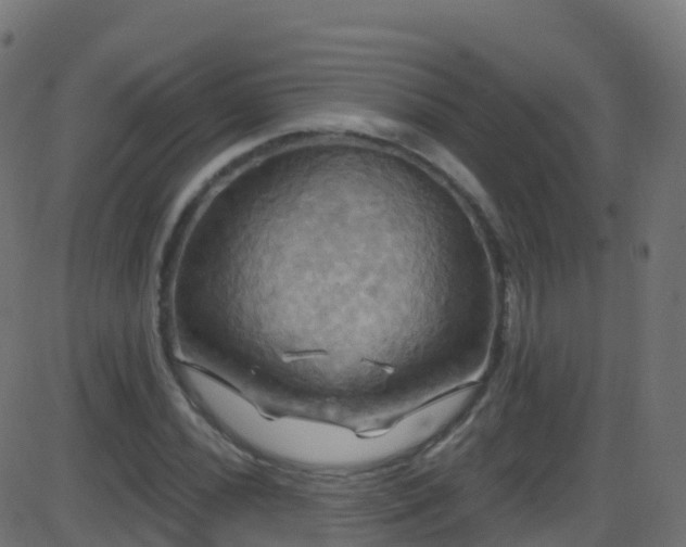 X0000086221020200704051235