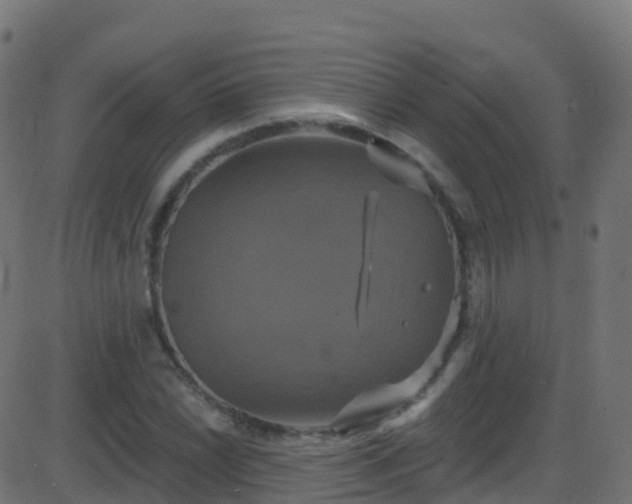 X0000086221022200704051235