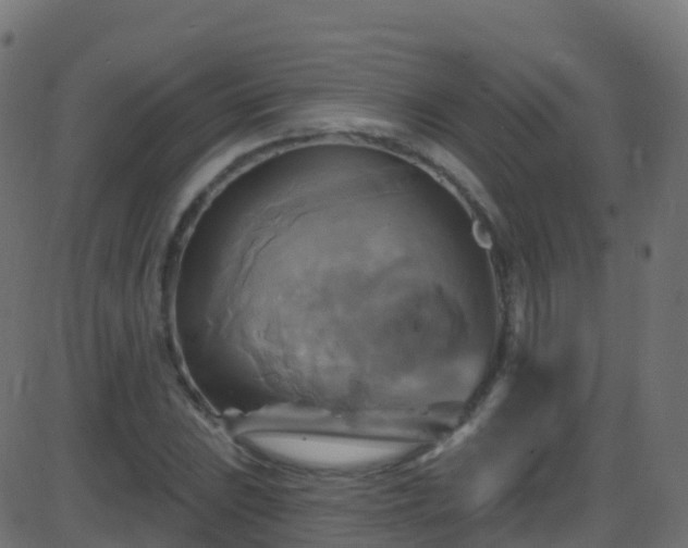 X0000086221023200704051235