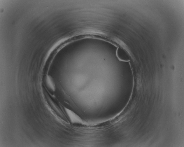 X0000086221024200704051235