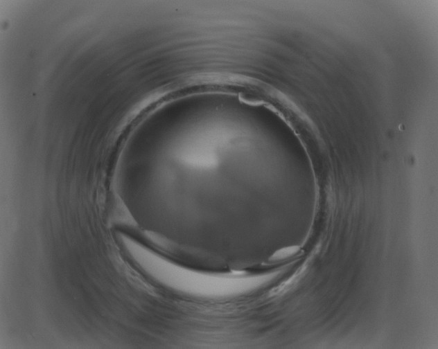 X0000086221025200704051235