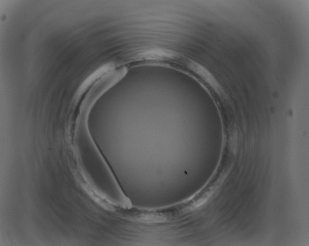 X0000086221026200704051235