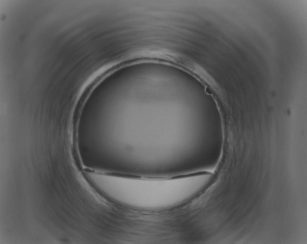 X0000086221028200704051235