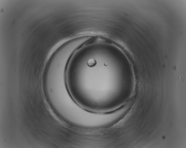 X0000086221030200704051235