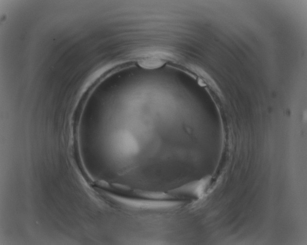 X0000086221031200704051235